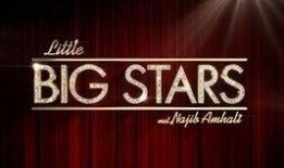 big shots在线观看,在线观看的精彩瞬间回顾